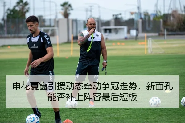 申花夏窗引援动态牵动争冠走势，新面孔能否补上阵容最后短板